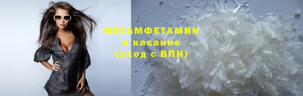 прущие грибы Абинск