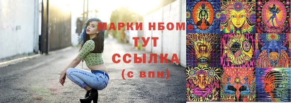 прущие грибы Абинск