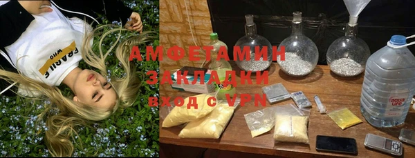 индика Алзамай