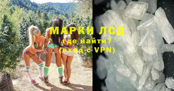 мяу мяу мука Пестово